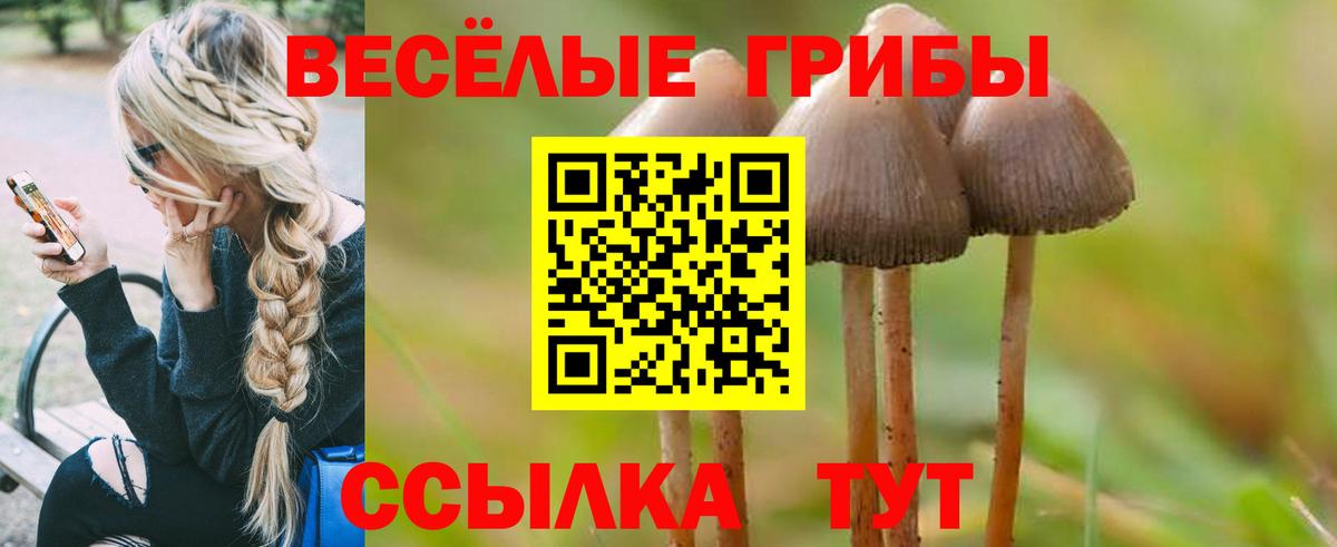 Псилоцибиновые грибы Magic Shrooms Красноуфимск